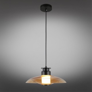 Светильник подвесной Aployt APL.648.16.10-foto2