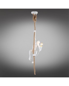 Светильник подвеснойAploytAPL.309.06.01-foto2