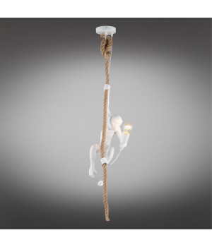 Светильник подвеснойAploytAPL.309.06.01-foto2