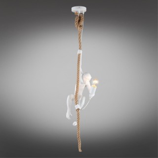 Светильник подвеснойAploytAPL.309.06.01-foto2