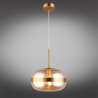 Светильник подвеснойAploytAPL.305.16.01-foto2