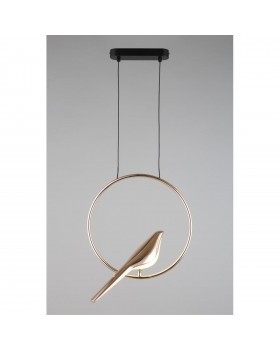 Светильник подвеснойAploytAPL.822.06.10-foto12