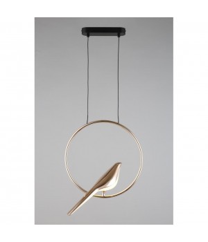 Светильник подвеснойAploytAPL.822.06.10-foto12