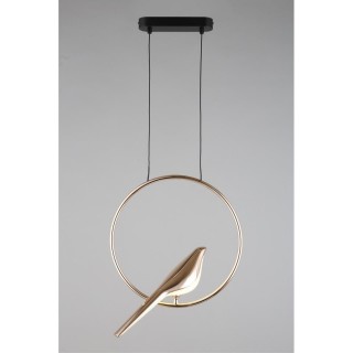 Светильник подвеснойAploytAPL.822.06.10-foto12