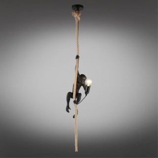 Светильник подвеснойAploytAPL.309.16.01-foto2