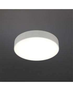 Светильник настенно-потолочныйAploytAPL.0114.09.24-foto2