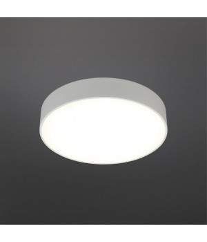 Светильник настенно-потолочныйAploytAPL.0114.09.24-foto2