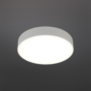 Светильник настенно-потолочныйAploytAPL.0114.09.24-foto2