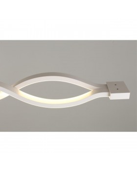 Светильник настенно-потолочныйAploytAPL.002.02.36-foto16