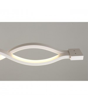 Светильник настенно-потолочныйAploytAPL.002.02.36-foto16