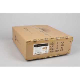 Светильник настенный (Бра)AploytAPL.029.01.21-foto3