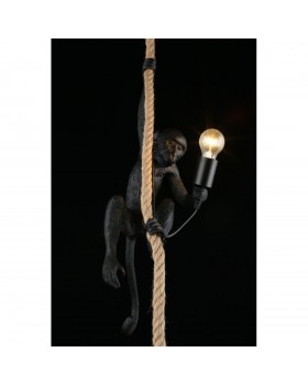 Светильник подвеснойAploytAPL.309.16.01-foto7