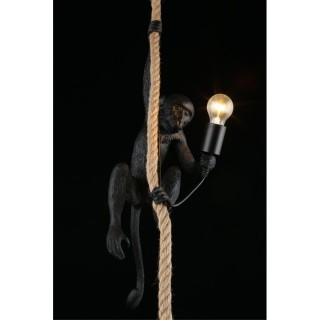 Светильник подвеснойAploytAPL.309.16.01-foto7