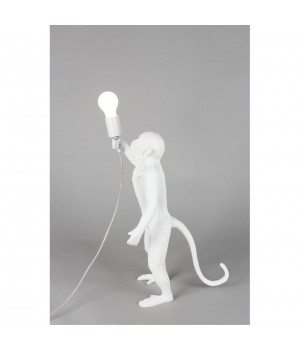 Настольная лампаAploytAPL.309.04.01-foto12