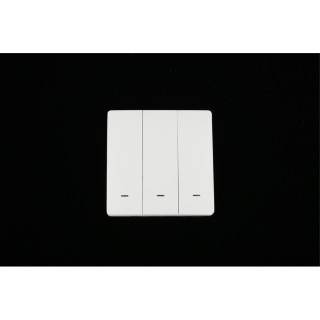 Трековое управление Aployt APL.0190.00.03-foto5