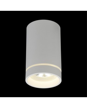 Светильник встраиваемый-накладнойAploytAPL.0054.09.10-foto7