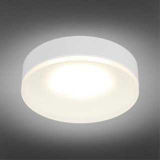 Светильник встраиваемый-накладнойOmniluxOML-102909-01-foto2