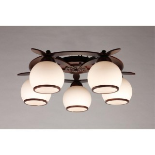 Люстра потолочнаяOmniluxOML-50507-05-foto5