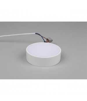 Светильник настенно-потолочныйAploytAPL.0114.09.12-foto7