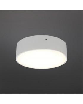 Светильник настенно-потолочныйAploytAPL.0113.09.12-foto2