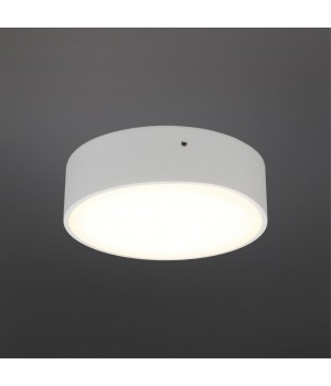 Светильник настенно-потолочныйAploytAPL.0113.09.12-foto2