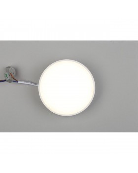 Светильник настенно-потолочныйAploytAPL.0113.09.12-foto5