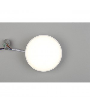 Светильник настенно-потолочныйAploytAPL.0113.09.12-foto5