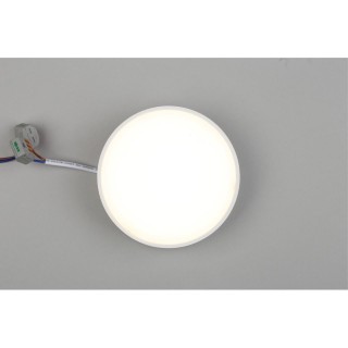 Светильник настенно-потолочныйAploytAPL.0113.09.12-foto5