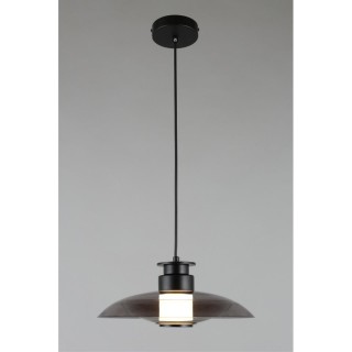 Светильник подвесной Aployt APL.648.06.10-foto13