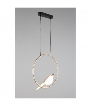 Светильник подвеснойAploytAPL.822.06.10-foto11