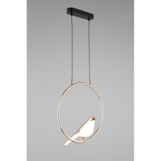 Светильник подвеснойAploytAPL.822.06.10-foto11