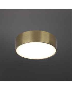 Светильник настенно-потолочныйAploytAPL.0114.29.12-foto2