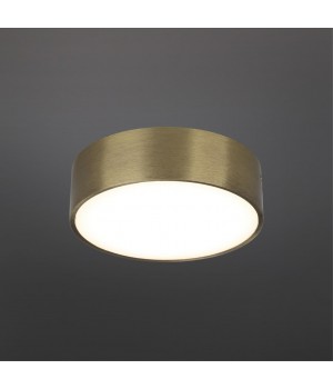 Светильник настенно-потолочныйAploytAPL.0114.29.12-foto2