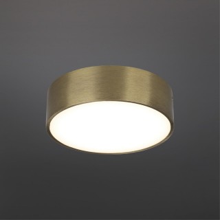 Светильник настенно-потолочныйAploytAPL.0114.29.12-foto2