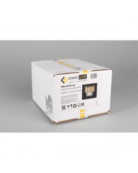 Светильник настенный (Бра)OmniluxOML-69701-02-foto5