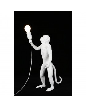 Настольная лампаAploytAPL.309.04.01-foto6