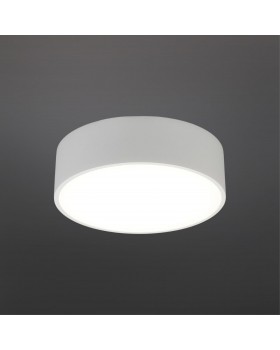 Светильник настенно-потолочныйAploytAPL.0114.09.12-foto2