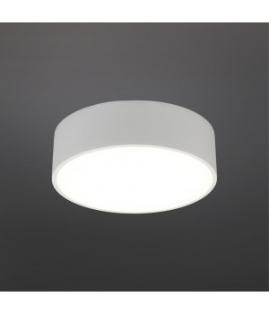 Светильник настенно-потолочныйAploytAPL.0114.09.12-foto2