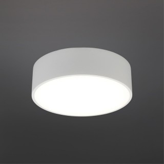 Светильник настенно-потолочныйAploytAPL.0114.09.12-foto2