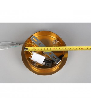 Люстра подвесная Aployt APL.818.03.10-foto4