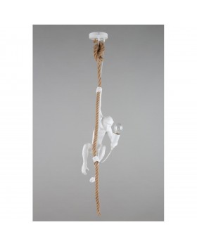 Светильник подвеснойAploytAPL.309.06.01-foto14