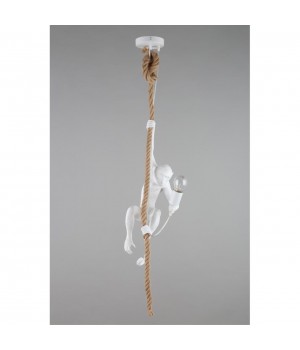 Светильник подвеснойAploytAPL.309.06.01-foto14