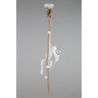 Светильник подвеснойAploytAPL.309.06.01-foto14