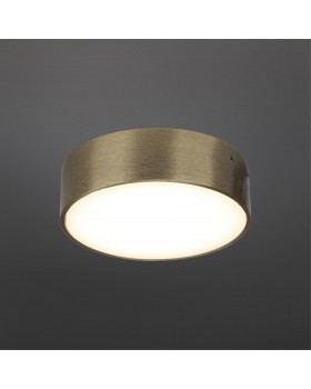 Светильник настенно-потолочныйAploytAPL.0113.29.12-foto2