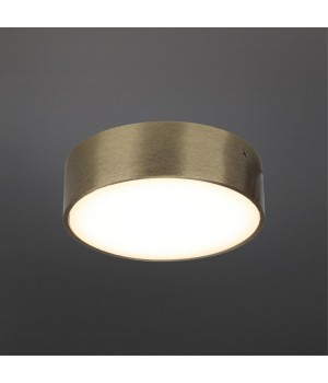 Светильник настенно-потолочныйAploytAPL.0113.29.12-foto2