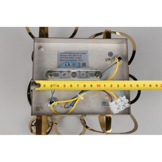 Светильник настенный (Бра)AploytAPL.829.01.02-foto4