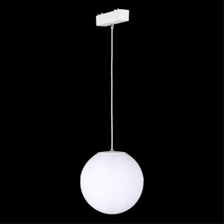 Светильник трековый Aployt APL.0123.10.06-foto3