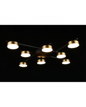 Люстра потолочнаяAploytAPL.042.07.56-foto9