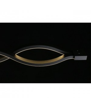 Светильник настенно-потолочныйAploytAPL.002.12.36-foto5