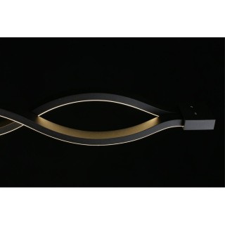 Светильник настенно-потолочныйAploytAPL.002.12.36-foto5